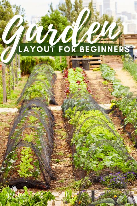 Vegtable Garden Layout, In Ground Vegetable Garden Design, Garden Planting Layout, Raised Bed Vegetable Garden Layout, Raised Bed Garden Layout, Homestead Garden Layout, Veggie Garden Layout, Planting Layout, Vegetable Garden Layout Design