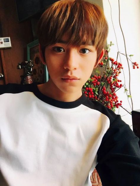 Lucas/Gallery | NCT Wiki | Fandom Lucas Smrookies, Nct Predebut, Lucas Wong, Johnny Seo, Types Of Boyfriends, Sm Rookies, Lucas Nct, Nct Yuta, Got7 Jackson