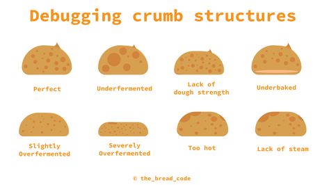 Sourdough Crumb Chart, How To Read Sourdough Crumb, Sourdough Chart, Sourdough Fermentation Chart, Sourdough Tips And Tricks, Sourdough Crumb Guide, Sourdough Problems, Sourdough Mistakes, Sourdough Facts