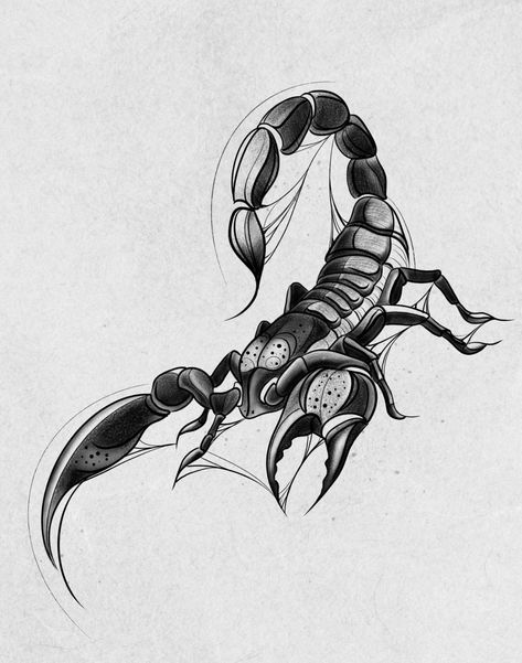 Scorpio Drawing, Scorpio Tattoo Design, Scorpion Tattoo Ideas, Tattoo Scorpio, Scorpion Drawing, Scorpion Tattoo Design, Scorpio Tattoos, Tato Naga, Scorpio Art