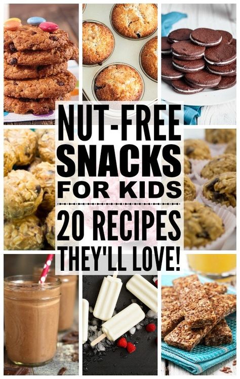 Nut Free Snacks For Kids: 20 Yummy Recipes They'll Love Healthy Nut Free Snacks, Nut Free Snacks For Kids, Peanut Free Snacks, Health Benefits Of Grapefruit, Thrive Diet, Nut Free Snacks, Cinnamon Health Benefits, Healthy Nuts, Nut Free Recipes