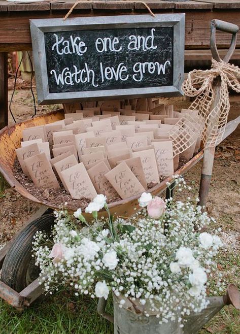 Budget Friendly Wedding Favours, Summer Wedding Favors, Creative Wedding Favors, Rustic Wedding Decorations, Seed Wedding Favors, Wedding Favors And Gifts, Boda Mexicana, Budget Friendly Wedding, Wedding Favors Cheap