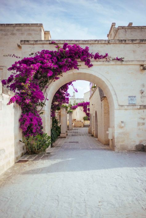 Puglia Italy, Gorgeous Flowers, Beautiful Hotels, Cocktail Recipe, Travel Inspo, Pretty Places, The Taste, Dream Destinations, Travel Aesthetic