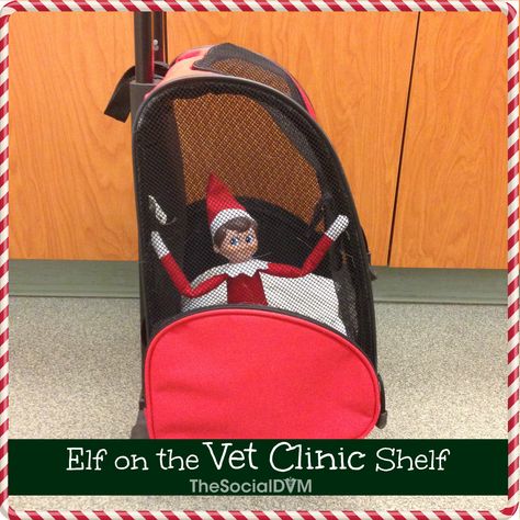 Elf On The Shelf Ideas Vet Clinic, Elf On The Shelf Vet Clinic, Vet Clinic Christmas Decor, Open House Ideas, Vet Humor, Corkboard Ideas Decor, Animal Clinic, Games Christmas, Elf Fun