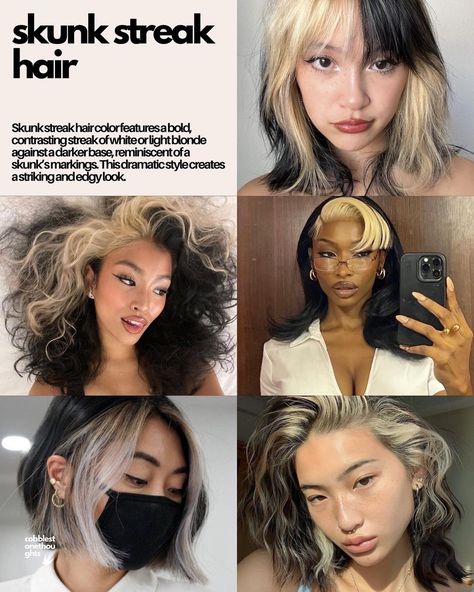 cool girl hair colours • which of these is your fav? 💌 • i think mine is the skunk streak hair 🫂 • • • • • • • • • • • • • • • • • • • • • • • • #moodboard #moodboards #moodboardaccount #moodboardaesthetic #starterpack #niche #aesthetic #aesthetics #ａｅｓｔｈｅｔｉｃ #aestheticedits #aesthetictumblr #edit #hair #coolgirl #coolgirlhair #hair #hairstyle #pinterest #pinterestinspired #pinterestgirl #pinterestaesthetic #nichememes #nichememeaccount #vintage #cute #love #instagram Skunk Stripe Hair Curly, Oreo Hair Color, Skunk Hair Curly, Skunk Streak Hair, Skunk Stripe Curly Hair, Cool Girl Hair, Streak Hair, Skunk Stripe Hair, Skunk Hair