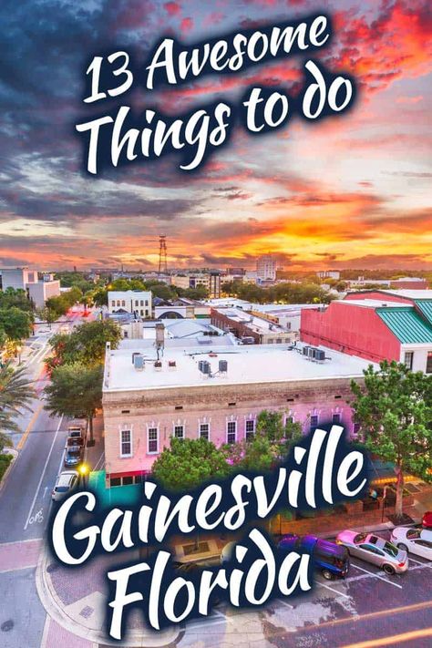 Things To Do In Gainesville Fl, Gainesville Florida Things To Do, University Notre Dame, Florida University, Florida Travel Destinations, Ducks Football, Colleges In Florida, Photography Coffee, Road Trip Places