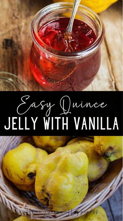 This easy quince jelly recipe is sweet and smooth. It’s delicious as a spread on pancakes, toast, or with crackers and cheese. This post shows how to make quince jelly, one that is sweet and floral and scented with vanilla. Quince jelly is simple to make, in fact, it is one of the easiest ways to preserve quince, as it doesn’t require any peeling or coring. Quince Jam Recipe, Peach Preserves Recipe, Crackers And Cheese, Quince Recipes, Quince Jelly, Sourdough Bread Sandwiches, Lavender Recipes, Peach Preserves, Sourdough Sandwich