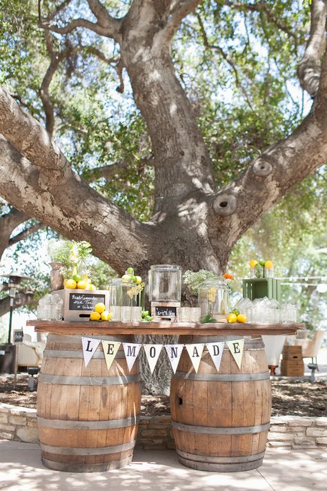 Limonade Bar, Drinking Station, Lemonade Wedding, Wedding Drinkware, Drink Stations, Lemonade Bar, Drink Stand, Garden Tables, Rustic Birthday