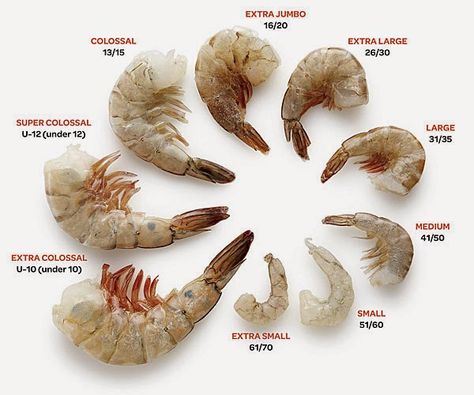 Giant Shrimp, Shrimp Sizes, Culinary Lessons, White Shrimp, Makanan Italia, Raw Shrimp, Grape Salad, Frozen Shrimp, Fine Cooking