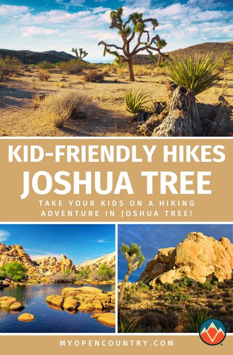 Take your kids on an adventure in Joshua Tree with trails designed for young hikers. Our guide includes the safest and most engaging hikes, like the Skull Rock Nature Trail, which features fascinating rock formations and interactive nature spots. These trails are short enough to keep children interested and involved, making them perfect for a family day out in nature. | Learn more about Must See In California San Francisco Hikes, Southern California Hikes, California Waterfalls, Hiking Usa, Malibu Creek State Park, Rock Nature, Ohio State Parks, Beginner Hiking, Skull Rock