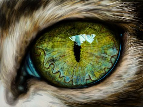 Regard Animal, Eye Close Up, Cerámica Ideas, Eye Painting, Eye Photography, Flower Art Painting, Eye Art, Eye Drawing, Cat Drawing