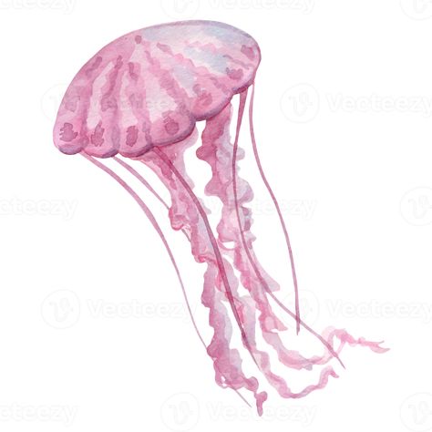 Pink Jellyfish Widget, Pink Jellyfish Painting, Pink Jellyfish Icon, Pink Meanie Jellyfish, Jellyfish Widget Icon, Cute Icons White Background, Pink Icons White Background, Jellyfish White Background, Cute White Backgrounds