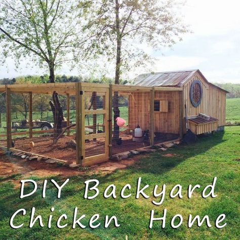 Chicken Coop Plans Free, Chicken Coop Ideas, Easy Chicken Coop, Chicken Barn, Portable Chicken Coop, Backyard Chicken Coop Plans, Chicken Coup, Diy Chicken Coop Plans, Coop Ideas