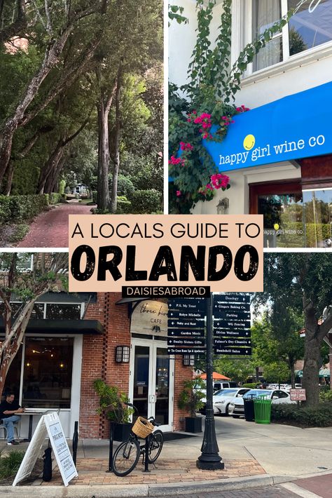 A LOCALS GUIDE TO ORLANDO - DAISIES ABROAD Swim With Manatees, Swimming With Manatees, Things To Do In Orlando, Orlando Travel, Cheap Vacation, Travel Bucket List Usa, Packing List For Vacation, Budget Travel Destinations, Manatees