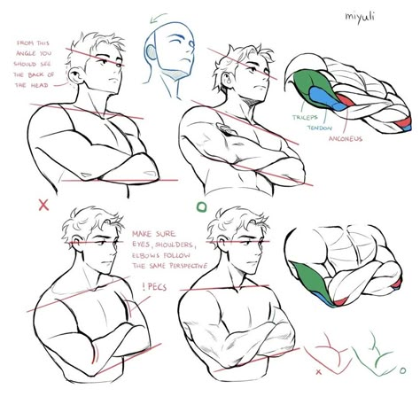 Body Drawing Tutorial, Drawing Help, Human Anatomy Art, Anatomy Sketches, Male Anatomy, Different Poses, Body Reference Drawing, Anatomy References, Art Help