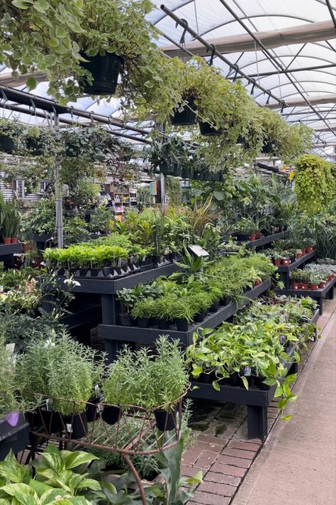 #plants #garden plant ideas Plant Nursery Ideas Greenhouses, Plant Nursery Ideas, Nursery Layout, Eco Park, Vertical Garden Design, Backyard Plants, Plant Ideas, Plants Garden, Plant Nursery