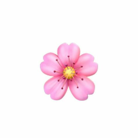 Emojis🎨🖌️ Emoji Base, Emoji Flower, Aesthetic Bear, Emoji Aesthetic, Iphone Png, Phone Emoji, Deer Wallpaper, Ios Emoji, Emoji Iphone