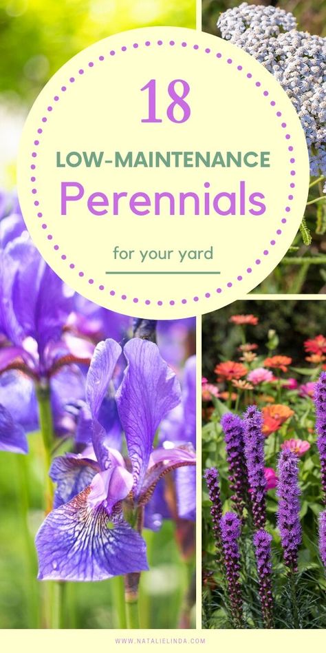 Low Maintenance Perennials, Kebun Herbal, Taman Diy, Beginners Landscaping, Jardim Diy, Vertical Vegetable Garden, Types Of Herbs, Vertical Herb Garden, Backyard Gardening