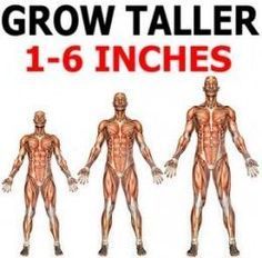 Increase Height After 25, Tips To Increase Height, Growing Taller, How To Get Tall, Get Taller Exercises, Grow Taller Exercises, Height Exercise, Taller Exercises, Increase Height Exercise