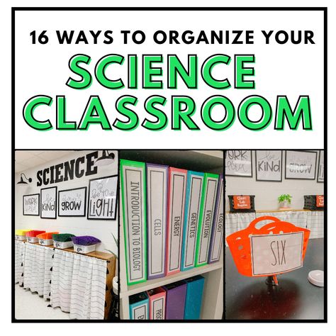 Ideas and inspiration for your middle or high school science classroom! In this blog post, I'm sharing 17 of my favorite organization hacks. Science Classroom Ideas Elementary, 7th Grade Science Classroom Decorations, Science Classroom Decorations Highschool, Middle School Science Classroom Decor, High School Biology Classroom, Life Science Classroom, High School Science Classroom, Elementary Science Classroom, Science Display