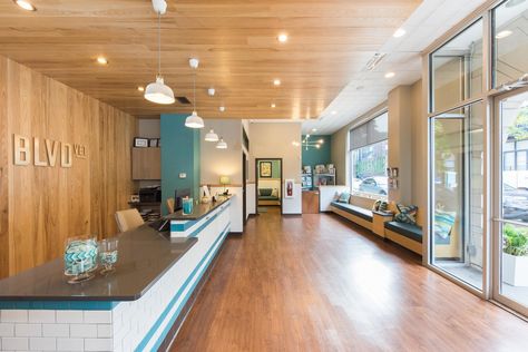 Boulevard Vet | Chicago | River North Vet | Logan Square Vet North Chicago, Hospital Interior, Clinic Interior Design, Hospital Interior Design, Vet Clinics, Pet Clinic, Hospital Design, Veterinary Hospital, Clinic Design