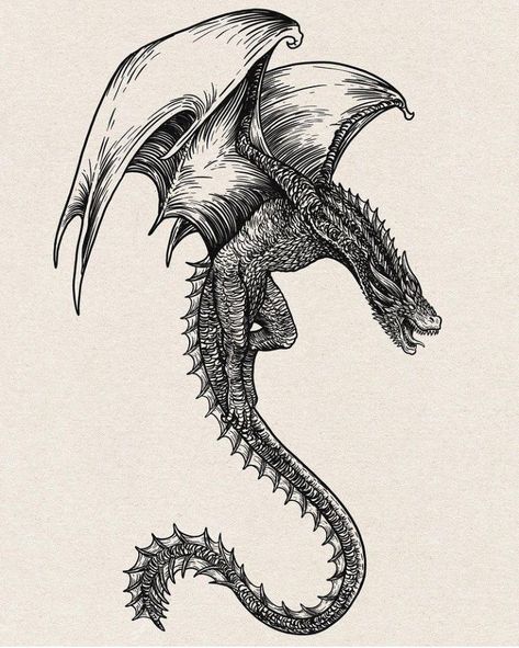 Winged Dragon Tattoo Designs, Medium Dragon Tattoo, Dragons In Flight, Sketch Dragon Tattoo, Norwegian Dragon Tattoo, Two Headed Dragon Tattoo, Abraxos Wyvern Flowers, Dragon Wings Back Tattoo, Abraxos Wyvern Tattoo