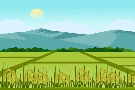 Beautiful rice and paddy fields landscape with mountains vector illustration. A view of a peaceful village. Rice Field Illustration, Village Vector, Tats Ideas, Landscape With Mountains, Paddy Field, Kerala House, Kerala Houses, Art Poster Design, Landscape Illustration