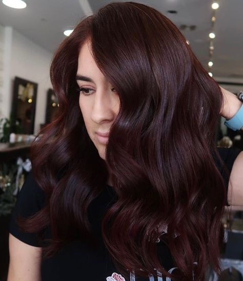 Cool Toned Dark Auburn Hair Chocolate Red Hair, Chocolate Auburn Hair, Burgundy Brown Hair, Deep Auburn Hair, Brown Auburn Hair, Dark Auburn Hair Color, Red Brown Hair Color, Deep Red Hair, Wine Hair Color