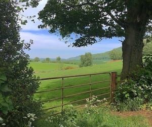 Garden Escape, England Aesthetic, Cottage Core Aesthetic, Open Field, Cottagecore Aesthetic, Spring Aesthetic, English Countryside, Nature Aesthetic, Pretty Places