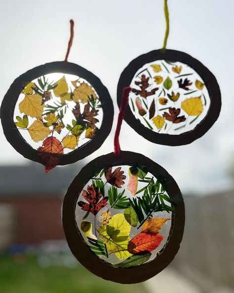 Mummy to boys on Instagram: "🍂Autumn sun catchers🍂 We found loads of miniature leaves on our walk the other day so we made some autumn sun catches with them. I cut out some circles of cardboard then covered 1 side with some contact paper & let the boys loose. I made one too & we all loved it & spent a good 10 minutes picking leaves & putting them on our sun catchers, all sitting together!! Resources we used: •cardboard •contact paper •pipe cleaners to hold them up •leaves #mummytoboys #mes Wax Paper Sun Catcher, Panel Sensorial, Sitting Together, Autumn Sun, Instagram Autumn, Pipe Cleaners, Seasons Art, Dinosaur Art, Contact Paper