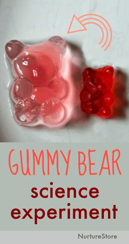 Let’s use gummy bears for a sweet science experiment and learn how osmosis works.     Growing gummy bears science experiment to show osmosis In this simple science experiment using candy, we’re using gummy bears to show osmosis. This gummy bear science lesson: :: introduces children to the scientific method :: invites them to make … Gummy Bear Science Experiment, Candy Science Experiments, Science Experiments Kids Elementary, Science Experiments Kids Easy, Candy Science, Science Experience, Science Experiment For Kids, Experiments Kids, Science Week