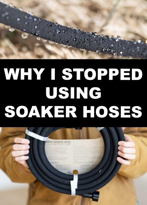 Why I Stopped Using Soaker Hoses - The Seasonal Homestead Soaker Hose Irrigation, Drip Hose, Drip Tape, Soaker Hose, Foundation Planting, Market Garden, Drip Irrigation, Garden Irrigation System, Seasonal Garden