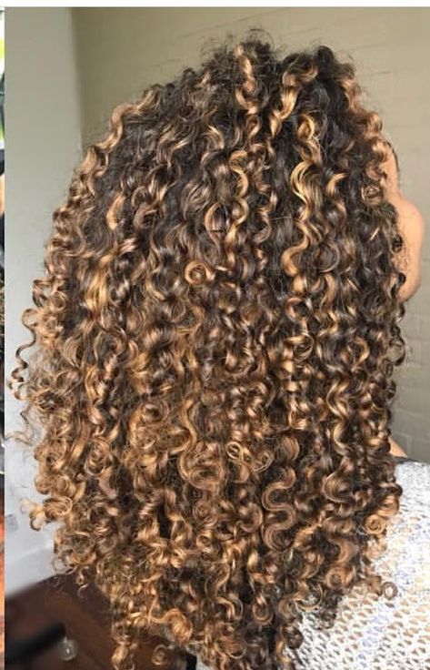 Dark Brown To Light Brown Balayage Curly Hair, Caramel Curly Hair Highlights, Butterscotch Curly Hair, Butterscotch Hair Color Curly, Honey Blonde Curly Hair Highlights, Sunkissed Curly Hair, Butterscotch Highlights On Curly Hair, Blonde Highlights Curly, Honey Brown Hair With Highlights Caramel