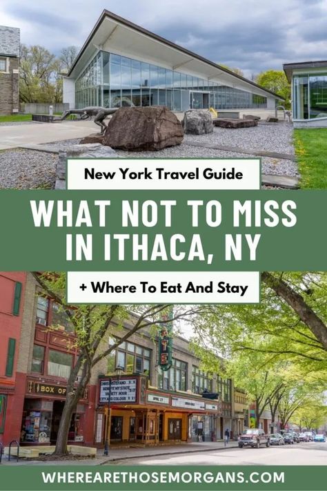 20 Unique Things To Do In Ithaca For First Time Visitors Fishkill New York, Ithaca Falls, Maine Trip, Finger Lakes Ny, Ithaca New York, Cayuga Lake, Travel America, Ithaca Ny, Ny Trip