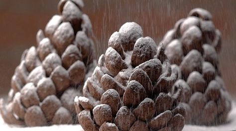 It's the most wonderful time of the year! These frosty pine cone... | https://homemaderecipes.com/pine-cone-cookies/ Pine Cone Recipes, Pine Cone Truffles, Pine Cone Cookies, Pinecone Cookies, Chocolate Cereal, Christmas Bazaar, Cookie Cake Pie, Xmas Treats, Holiday Dishes