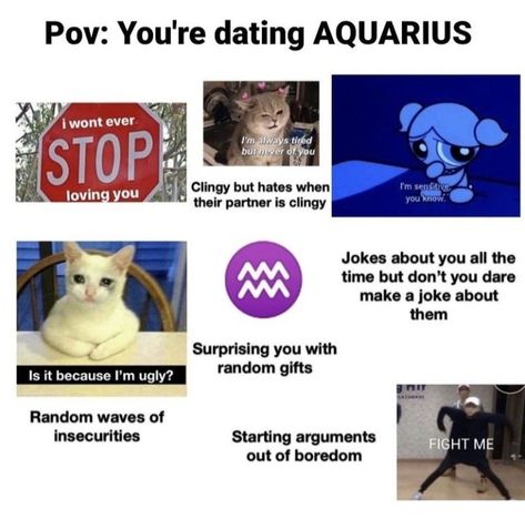 Dating An Aquarius, Aquarius Funny, Zodiac Leo Art, Aquarius Personality, Sagittarius Moon, Aquarius Traits, Aquarius Truths, Aquarius Life, Zodiac Characters