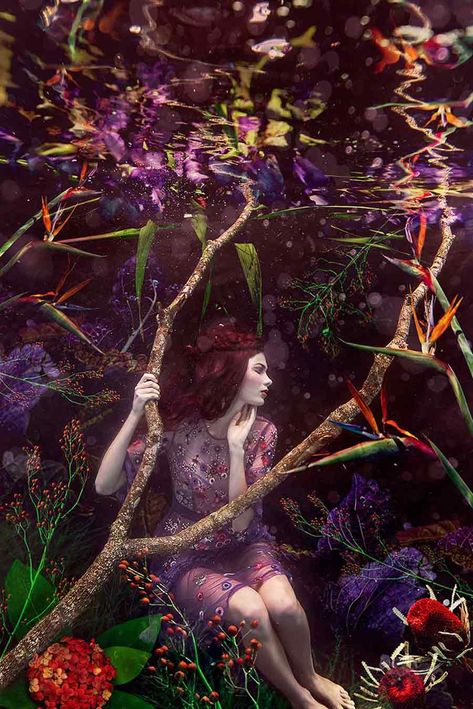 Beautiful Bizarre, Bizarre Art, Australian Photographers, Arts Award, Female Photographers, Photography Awards, Underwater Photography, Professional Hairstyles, Digital Photography