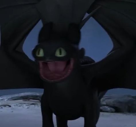 me at 3 am 3 Am, Train Your Dragon, Toothless, How To Train, How To Train Your Dragon, Httyd, How To Train Your, My Favorite, Train