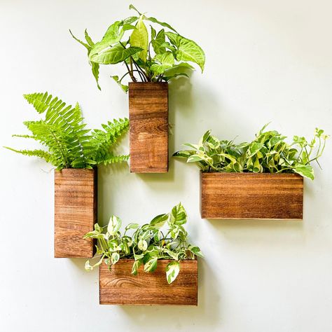 PRICES MAY VARY. 4-PACK SET: 2 pack of horizontal planters (10" x 3" x 4.5") and 2 pack of vertical planters (4" x 2.5" x 9.5"). Check and pick the right size for your plants to prevent any unpleasant experiences and potential wastage of resources. Plants NOT included EASY TO INSTALL: Ready to hang, these planters can be effortlessly hung on any wall, making installation a breeze. SPACE-SAVING SOLUTION: They do not take up any floor space. Hang them on the wall, create a green and refreshing fea Plant Wall Ideas Indoor, Wall Hanging Plants Indoor, Wall Planter Ideas, Wall Plants Indoor, Blues Bar, Living Wall Indoor, Wall Planters Outdoor, Wall Plants, Handmade Hanger