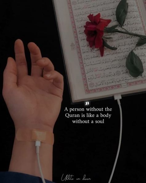 Islamic Girls Dp, Open Quran, Beautiful Girls Dp, Nice Dp For Whatsapp, Aesthetic Dps, Protest Ideas, Dp Aesthetic, Creative Instagram Names, Islamic Dp Quotes