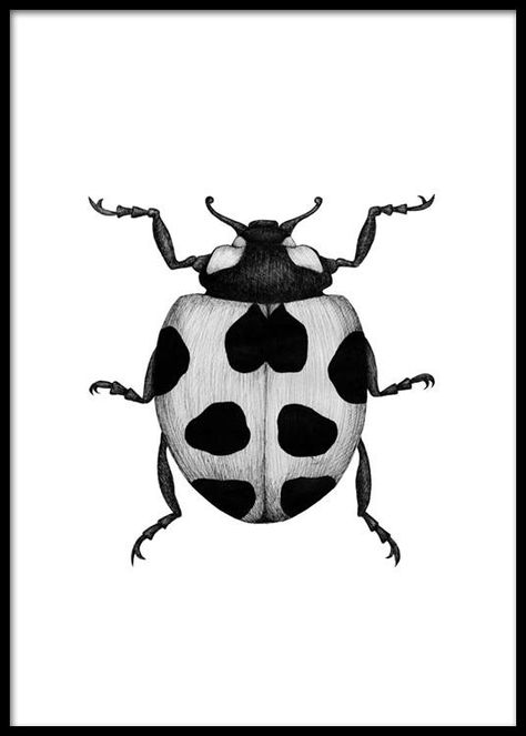 Black and white prints - Black and white art at Desenio.co.uk 13x18 Poster, Ladybird Drawing, Bumblebee Drawing, Beetle Drawing, Butterfly Black And White, Lady Bug Tattoo, Insect Tattoo, Gold Poster, White Drawing