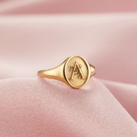 Signet Rings Women Vintage, Signet Rings Women, Posh Totty, Gold Rings Fashion, Signet Rings, Gold Ring Designs, Gold Signet Ring, Initial Ring, Jewelry Lookbook