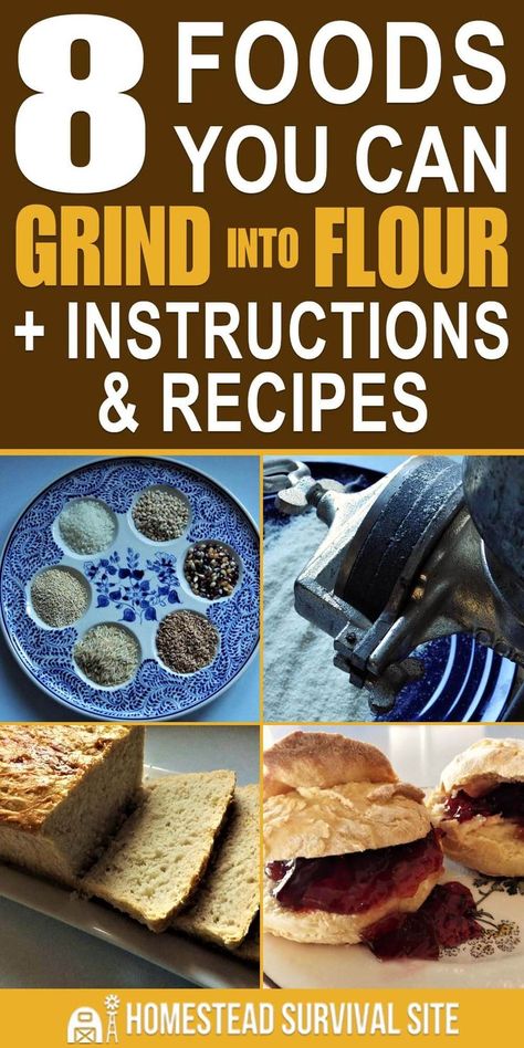 Grinding your own flour can save you money, enhance your nutrition, and teach you a valuable survival skill. Here are 8 foods (besides wheat) you can turn into flour and how to do it. #homesteadsurvivalsite #flour #recipes #grindflour #makeflour 400 Calorie Meals, Emergency Food Supply, Emergency Food, Dehydrated Food, Homestead Survival, Flour Recipes, Survival Food, Food Supply, Survival Prepping