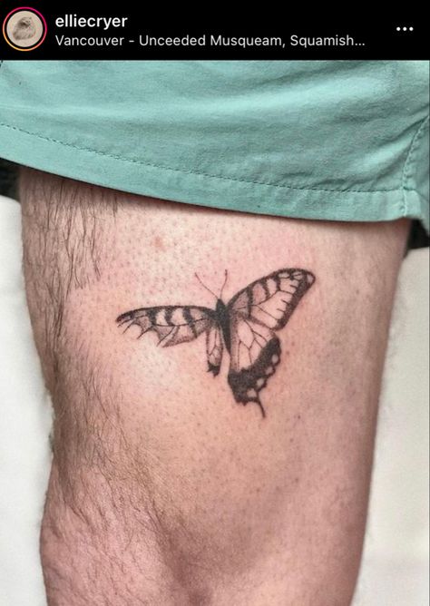 Butterfly Tattoo Guy, Holes In Butterfly Wings Tattoo, Landed Butterfly Tattoo, Horror Butterfly Tattoo, Messy Butterfly Tattoo, Butterfly Broken Tatoo, Pinned Butterfly Tattoo, Sick Butterfly Tattoo, Torn Butterfly Tattoo