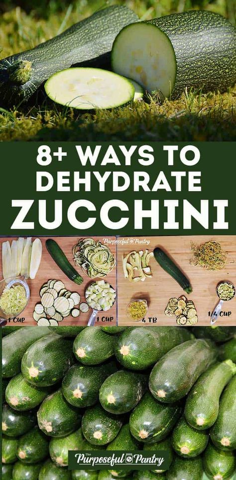 Dehydrating Zucchini, Dehydrate Zucchini, Preserving Zucchini, Dehydrated Zucchini Chips, Zucchini In The Oven, Zucchini And Summer Squash, Preparedness Ideas, Dehydrating Food Storage, Favorite Casserole Recipes