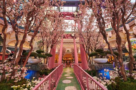 Like the best of Las Vegas, there's so much more to the Bellagio Conservatory & Botanical Gardens than meets the eye. Delano Las Vegas, Bellagio Conservatory, Vegas Attractions, Garden Of Flowers, Las Vegas Boulevard, Bellagio Las Vegas, Fremont Street Experience, Cosmopolitan Las Vegas, Las Vegas Photos