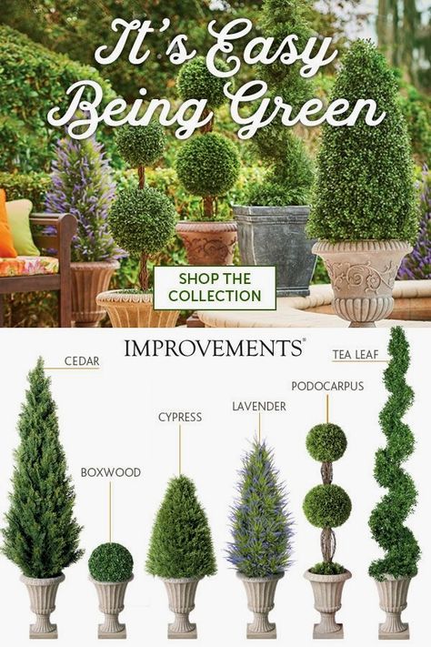 Topiary Garden, Rustic Flower, Topiary Trees, Easy Flower, Front Yard Garden, French Garden, Front Yard Landscaping Design, Easy Ideas, Raised Beds