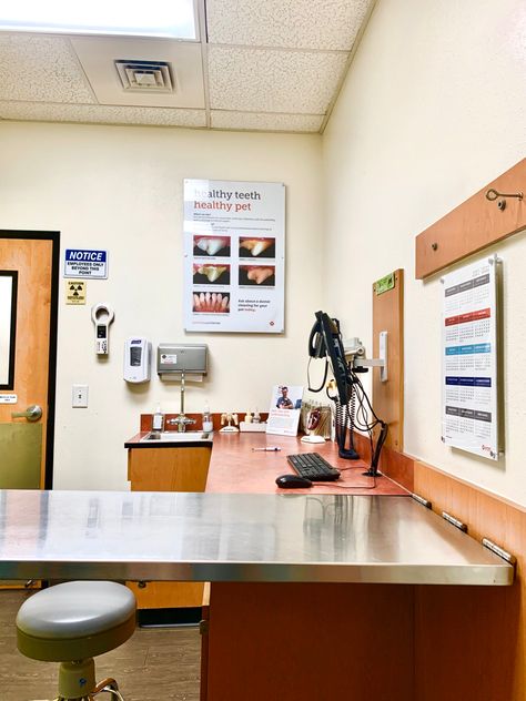 Vet Clinic Aesthetic, Doctors Office Aesthetic, Vet College, Fragile Sanctuary, Job Doctor, Vet Aesthetic, Vets Office, Catherine Cowles, Vet Doctor