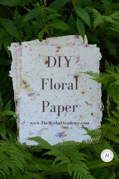 Dried Flower Paper, Make Own Paper, Handmade Paper Bookmarks, Papermaking Diy, Recycler Diy, Diy Handmade Paper, Paper Making Kit, Herbal Academy, Floral Paper