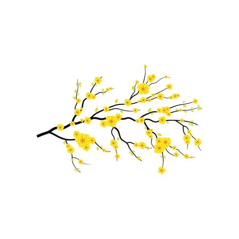 Yellow Apricot Blossom, Yellow Flowers Aesthetic, Blossom Sketch, Blossom Drawing, Spring Png, Flower Png Images, Apricot Blossom, Yellow Blossom, Cherry Blossom Background